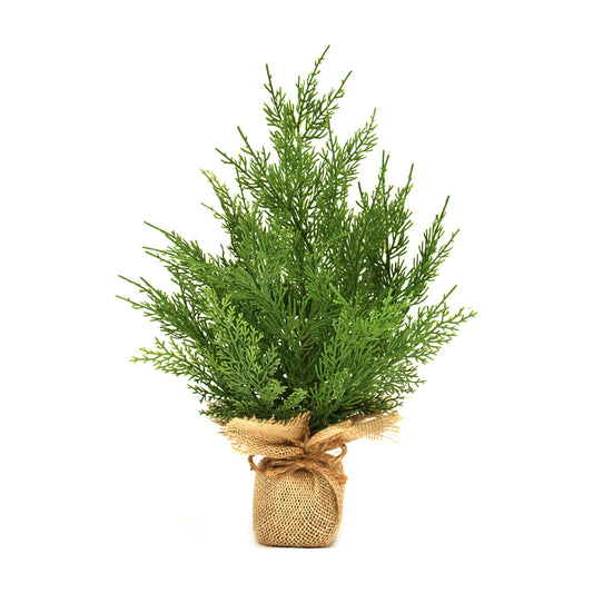 FXQ43964T-18 - 18 inch Cedar Tree in Pot
