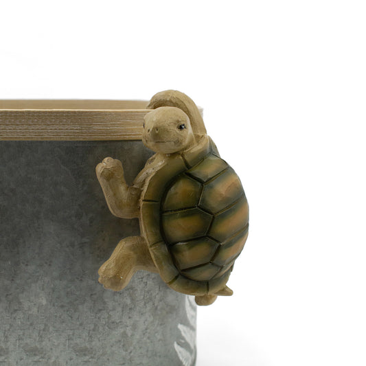 RAF41613 - Little Resin Turtle 