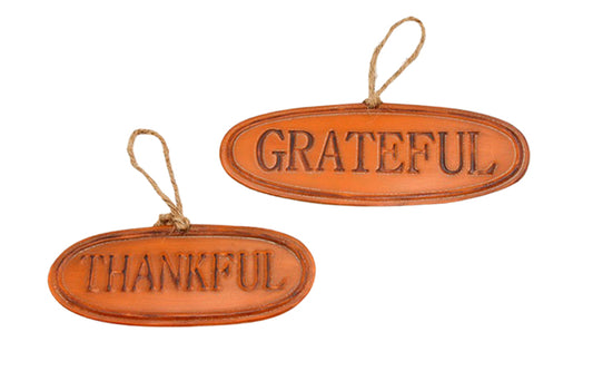WFF25006-2A - 2 Assorted Orange Thankful and Grateful Tin Signs 